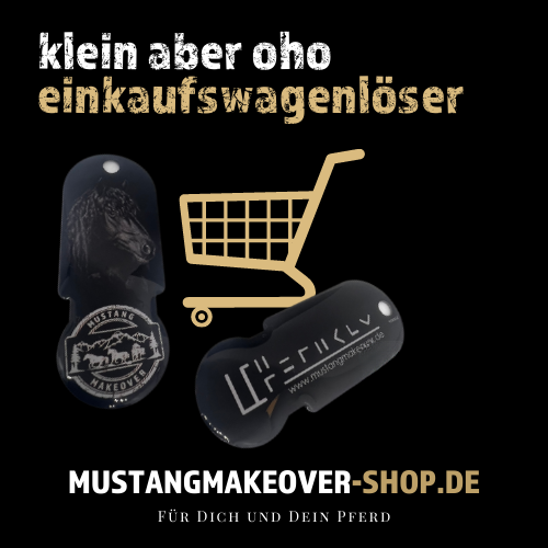 Einkaufswagenlöser - der MUSTANG MAKEOVER Smart-Hack