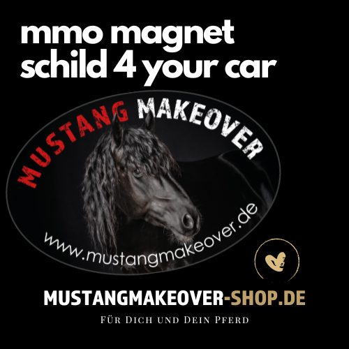 NEU: Magnetschild MUSTANG MAKEOVER - für Dein Auto