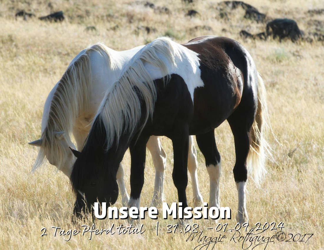 Unsere Mission