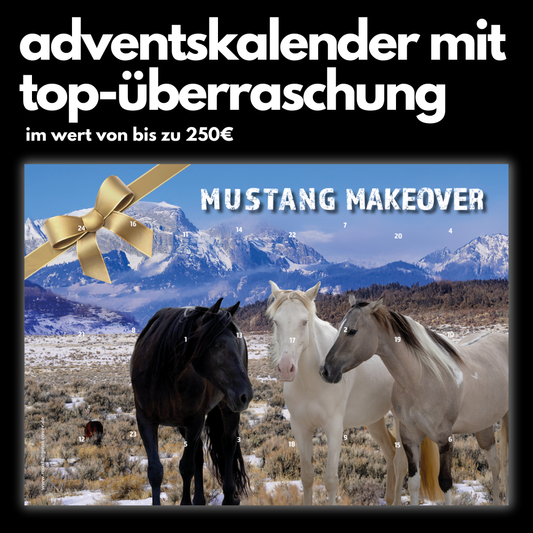 Limitierter ADVENTSKALENDER mit Überraschung im Wert von bis zu 250€