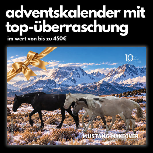 Limitierter ADVENTSKALENDER inkl. Überraschung im Wert von bis zu 450€