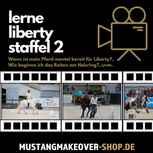 Online-Staffel "Liberty Academy - Staffel 2"