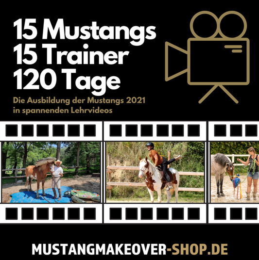 Online-Staffel "Die Ausbildung der Mustangs 2021"