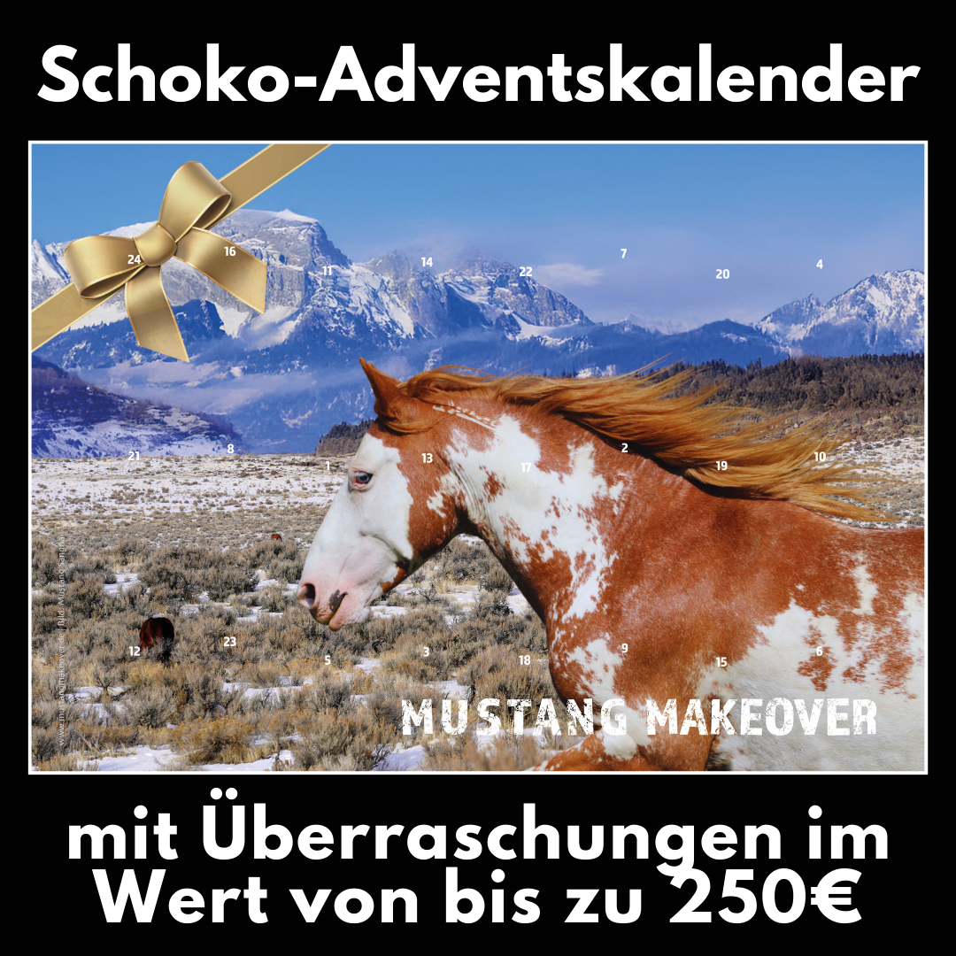 Nur noch 90 Stück! ADVENTSKALENDER mit Überraschung im Wert von bis zu 250€