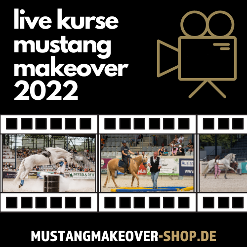 Online-Staffel "Live Kurse auf dem MUSTANG MAKEOVER 2022"