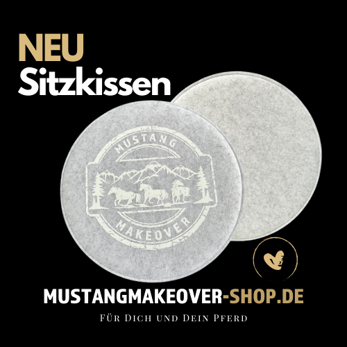 Sitzkissen