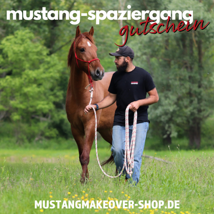 Mustang-Spaziergang (Gutschein)